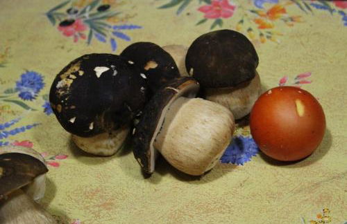 Agriturismo Fonteverdi - Foto 18