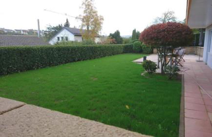 Gemütliche 90 qm Wohnung in Saarburg, zentral gelegen, Garten mit Aussicht, separater Eingang - Foto 18