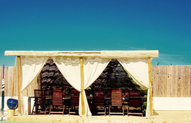 João Jungle - Foto 72