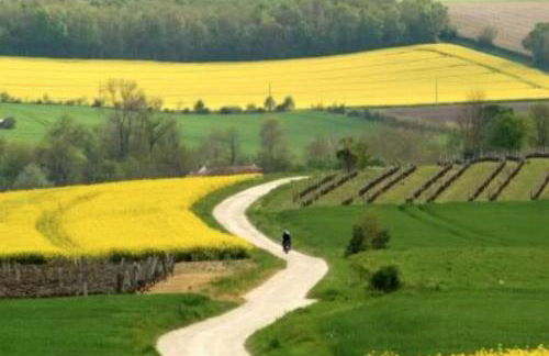 Les Rosiers - Foto 21