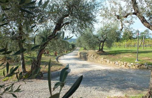 Agriturismo Ai Mandrioli - Foto 58