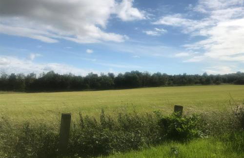 Peaceful Shepherd's Hut next to Horse Field - Foto 19