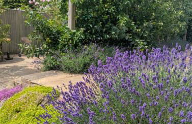 Artist's Hawkhurst Home with Heated Pool & Sauna - Foto 56