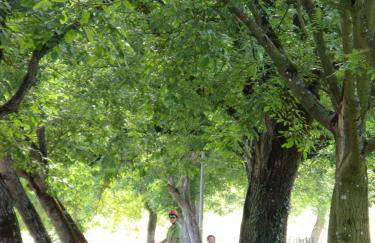 Villa Mont Joie - Foto 25