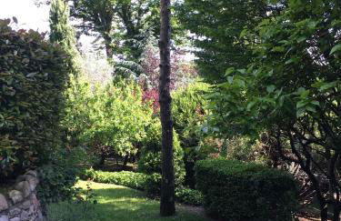 Il Pioppo Antico - Photo 73