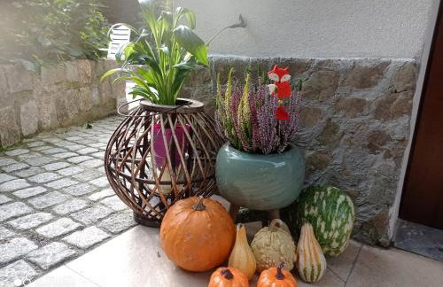 Apartamenty Sowianka - Foto 74