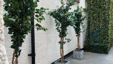 7 Plants Yard - Foto 3