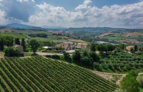 AGRITURISMO SAN NICOLINO - Foto 7