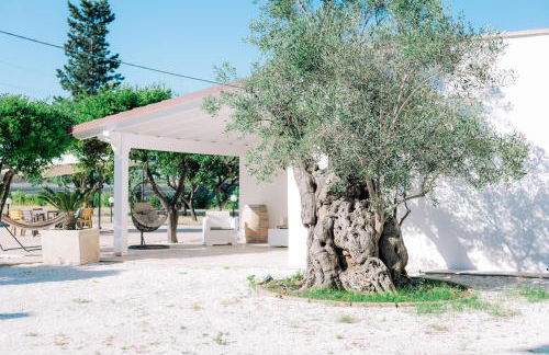 Tenuta Pizzi - Foto 1