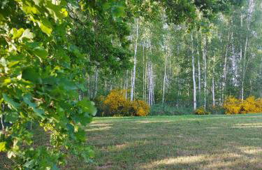 Kraniec Świata - Zachwyca Krajobrazem, Regeneruje Ciszą i Komfortem - Foto 40