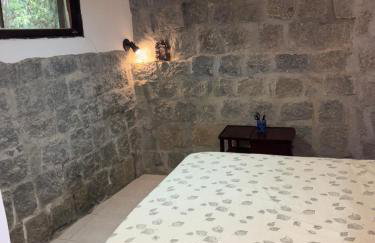 Casa do Roberto Burle Marx - Foto 59