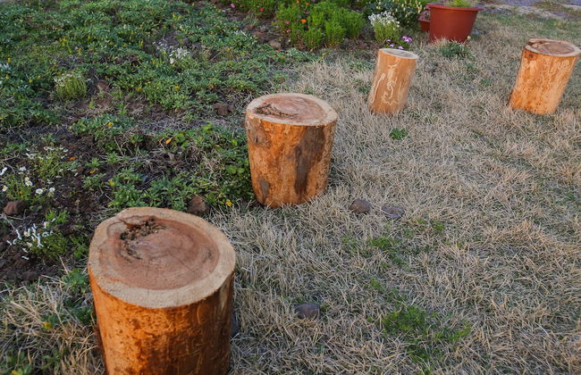 BaDang Garden - Foto 72