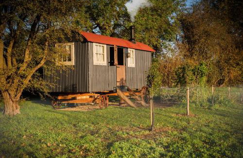 Wellbeing Orchard - Foto 10