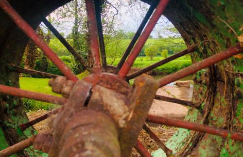 The Stable - Foto 16