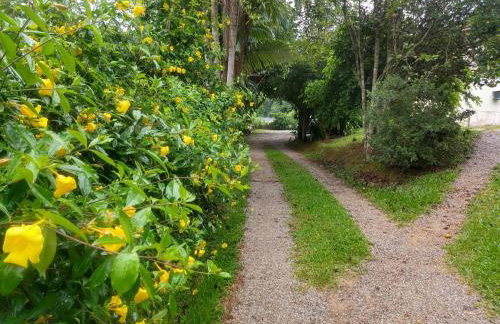 Casa de Sítio com Espaço para Eventos - Foto 12