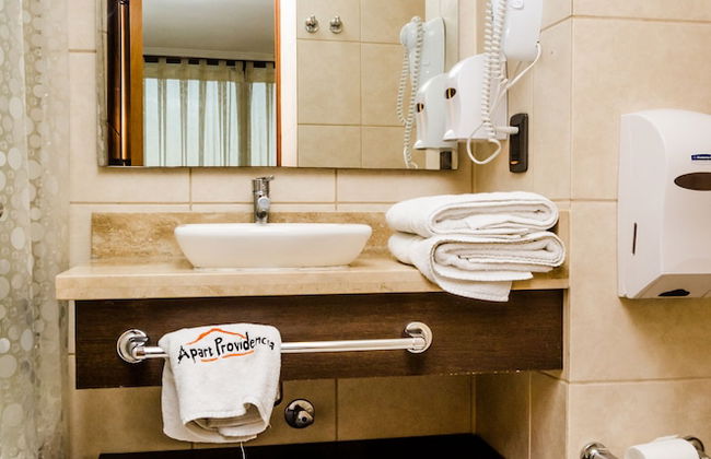 APART PROVIDENCIA SANTA BEATRIZ - Foto 18