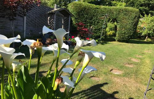 Henbury Hide - Photo 28