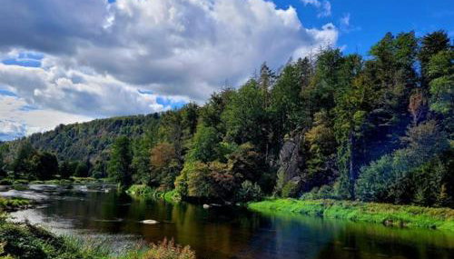Ferienwohnung in Marienthal am Regen - Foto 3