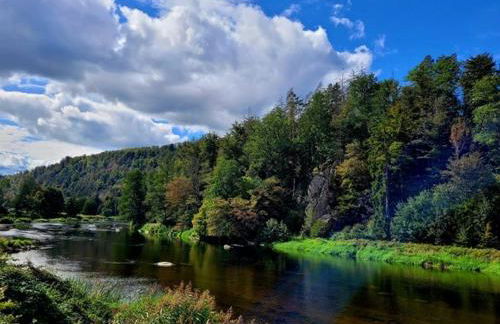 Ferienwohnung in Marienthal am Regen - Foto 3
