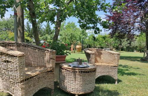 Podere Piandarca - Photo 57