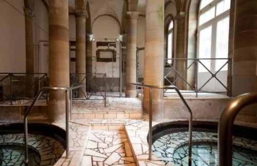 Gîte Spa "La Foret Argentée" proche Gérardmer - Foto 74