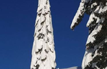 Casa Tiziano e Nila - Photo 45