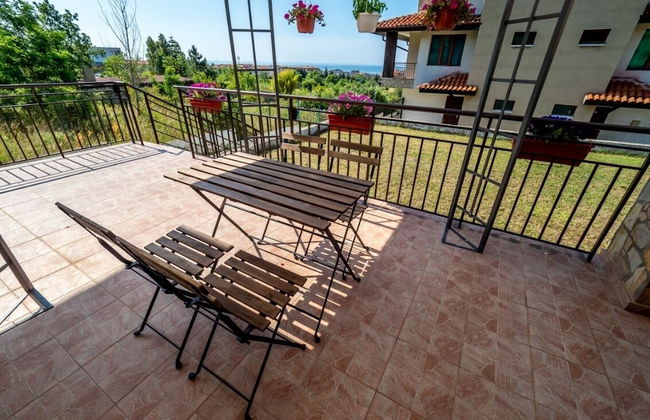 Buongiorno Premium - Photo 19