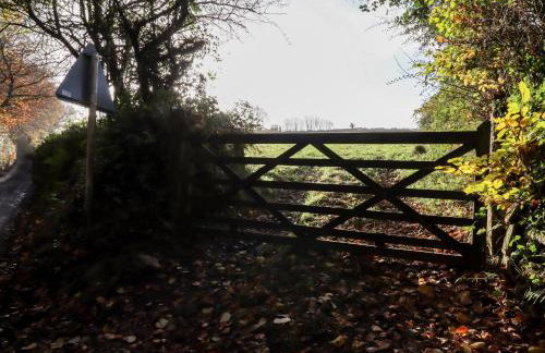 Dishcombe Cottage - Foto 48