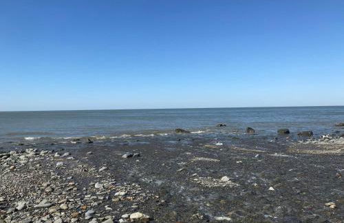 Blaenferwig - Photo 25