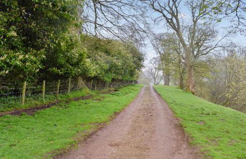 West Lodge - Photo 14