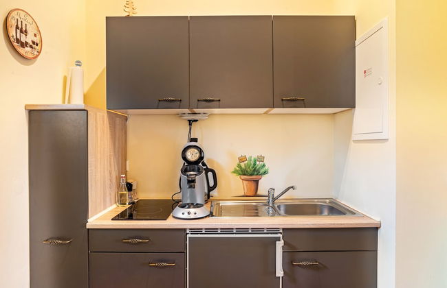 SCHUSTERjunge APARTHOTEL - Photo 48