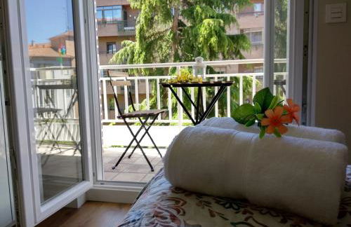 El Cedro Llorón - Foto 1