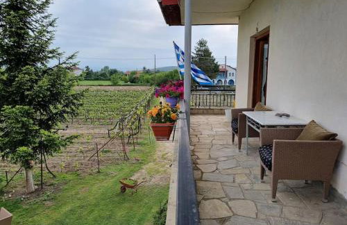 ΚΤΗΜΑ ΜΠΟΡΑΒΟΥ - Foto 22