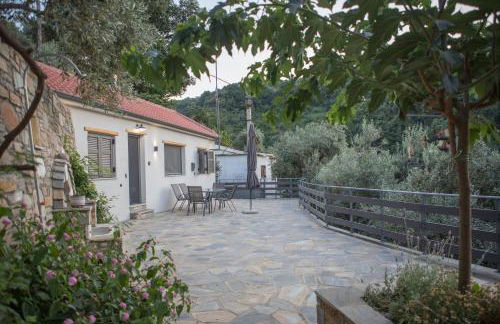 Fofi's House - Foto 26