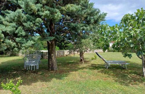 Apartments Dandić - Photo 60