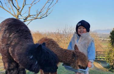 Agriturismo Il Vecchio Mandorlo - Foto 7