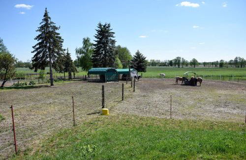 Barrierefreie Ferienwohnung Trüben (Zerbst/Anhalt) - Foto 7