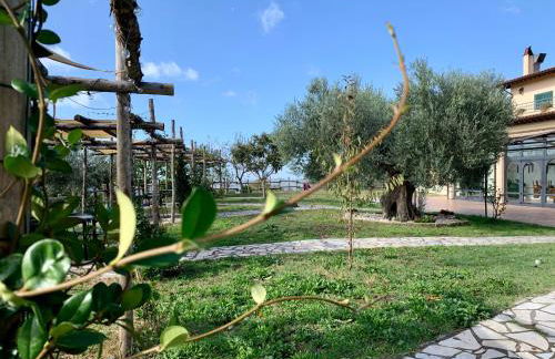 Agriturismo La Terrazza su Farfa - Foto 65