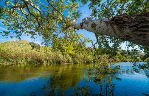 Apartament Massanet 2b - Photo 22