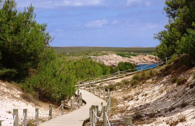 Aparthotel Playa Parc - Foto 50