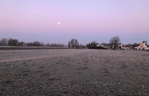 Ferienwohnung Zugvogel - Foto 31