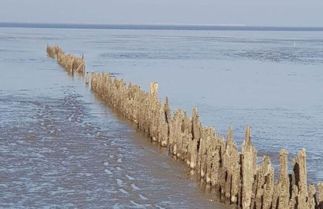 Little Seagull Modern Retreat - Foto 18