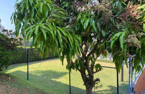 Chácara das Pedras Acolhedor, Alegria, Refúgio - Photo 53