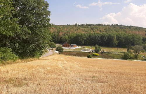 Residenz Moselstausee - Foto 66