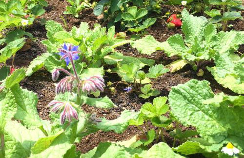 Azores Casa Atlantis - Photo 23