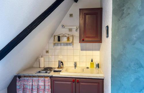 La Maison Bleue - Historic House in the Heart of Riquewihr - Foto 74