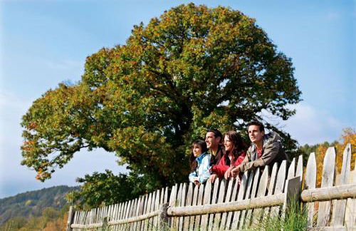 Apartments Dolomites "Mantingerhof" - Photo 38