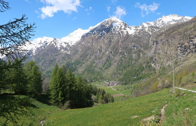 Chez Les Roset - Photo 31