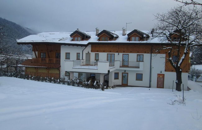 Agritur Pisani - Foto 47