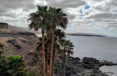 Laylas Beach Art House - Foto 15